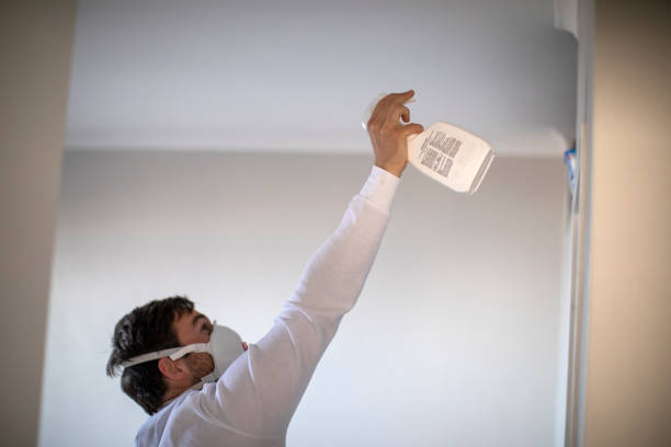 Best Mold Removal Company Near Me  in Waimanalo, HI